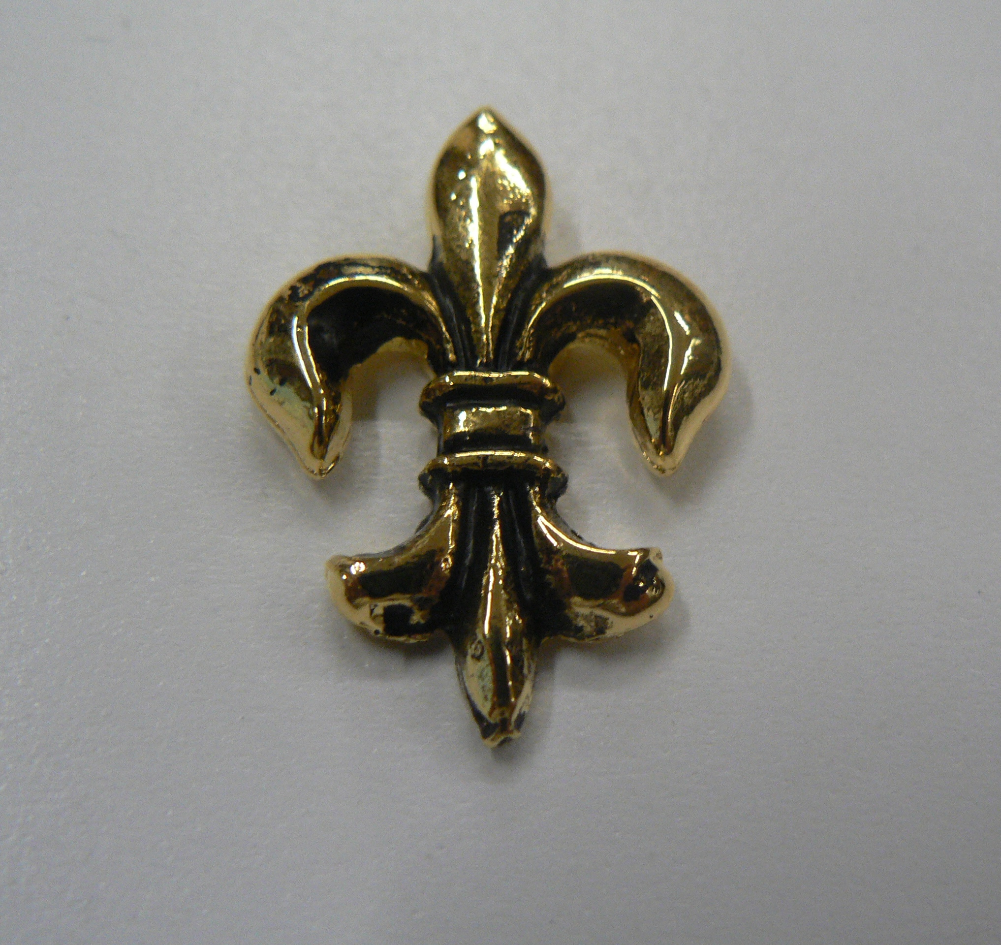 foto kovov� magnet - lilie